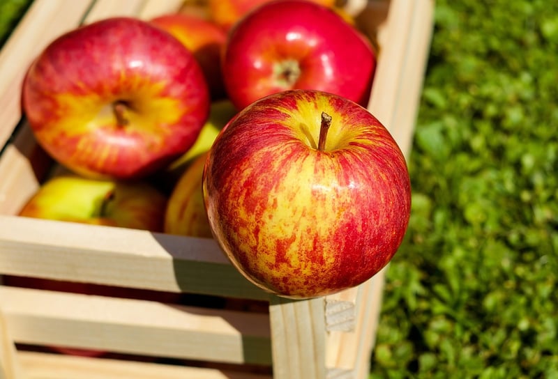 Wooden Crate Vegetable Garden