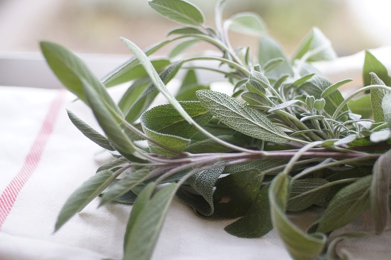 Herb Garden